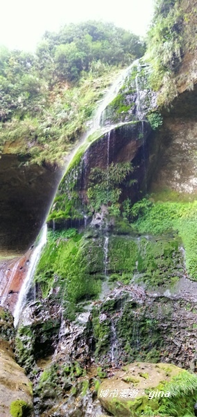 IMG_20201107_131447.jpg IMG_20201107_131447.jpg