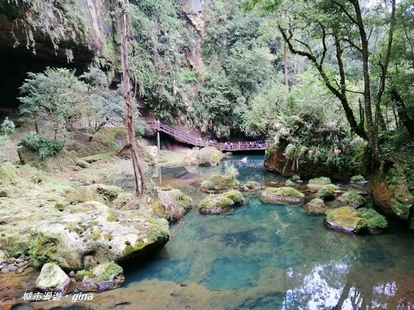 IMG_20201107_132623.jpg IMG_20201107_132623.jpg