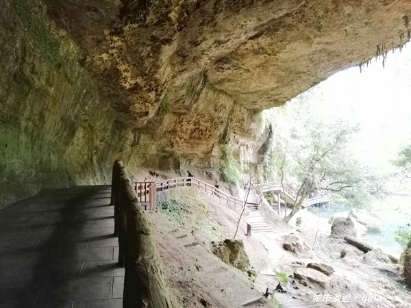 IMG_20201107_132905.jpg IMG_20201107_132905.jpg