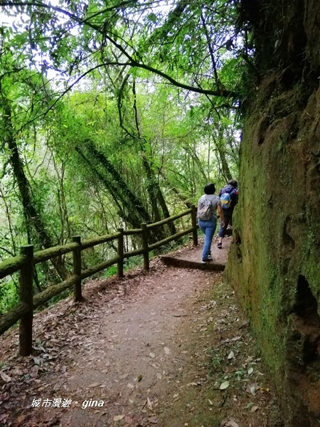 IMG_20201107_133139.jpg IMG_20201107_133139.jpg