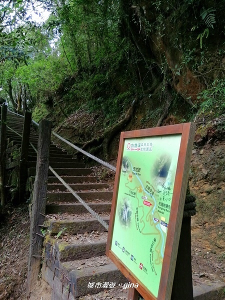 IMG_20201107_133417.jpg IMG_20201107_133417.jpg