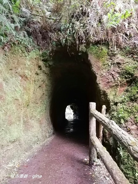 IMG_20201107_133503.jpg IMG_20201107_133503.jpg