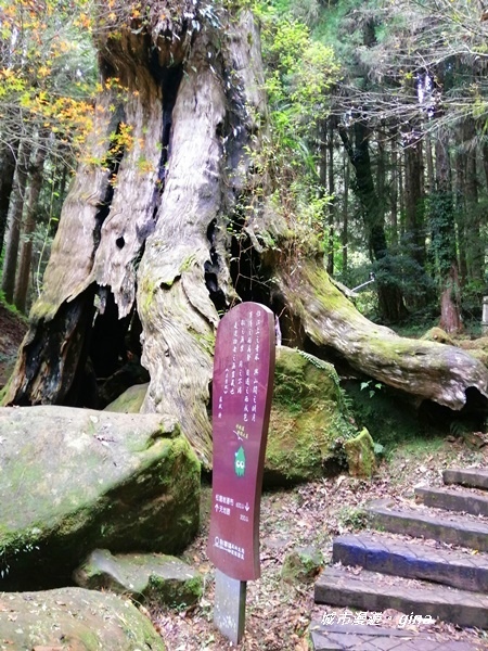 IMG_20201107_133911.jpg IMG_20201107_133911.jpg