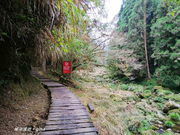 IMG_20201107_133528.jpg IMG_20201107_133528.jpg