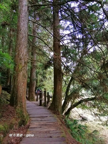 IMG_20201107_133603.jpg IMG_20201107_133603.jpg