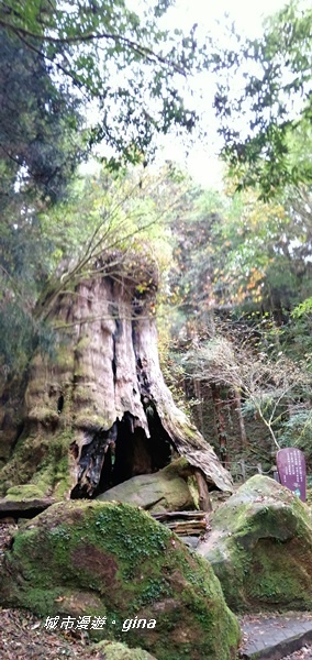 IMG_20201107_134343.jpg IMG_20201107_134343.jpg