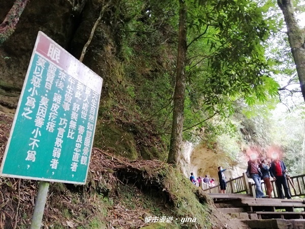 IMG_20201107_135151.jpg IMG_20201107_135151.jpg