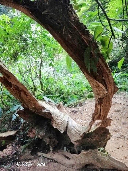 IMG_20201107_134851.jpg IMG_20201107_134851.jpg