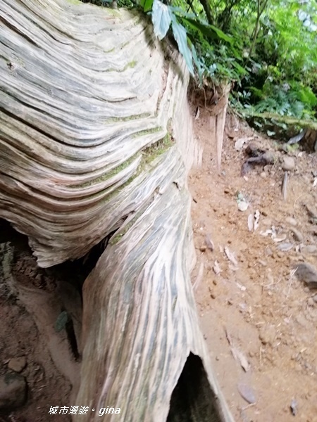 IMG_20201107_134900.jpg IMG_20201107_134900.jpg