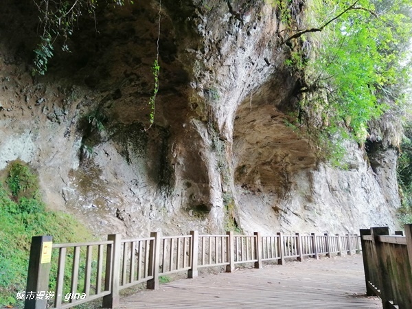 IMG_20201107_135639.jpg IMG_20201107_135639.jpg