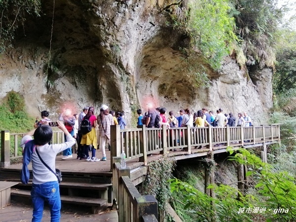 IMG_20201107_135222.jpg IMG_20201107_135222.jpg