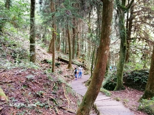 IMG_20201107_140457.jpg IMG_20201107_140457.jpg