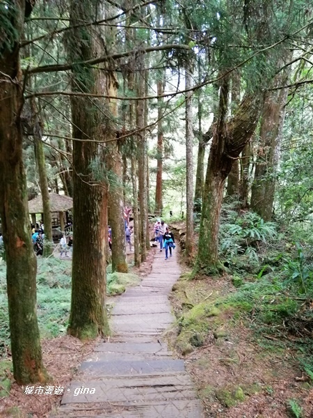 IMG_20201107_140610.jpg IMG_20201107_140610.jpg