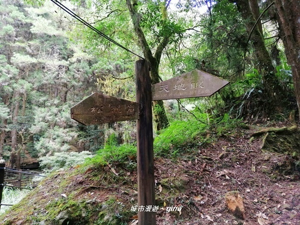 IMG_20201107_140706.jpg IMG_20201107_140706.jpg