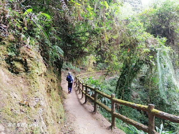 IMG_20201107_141519.jpg IMG_20201107_141519.jpg