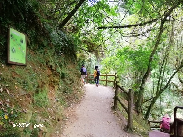 IMG_20201107_141553.jpg IMG_20201107_141553.jpg