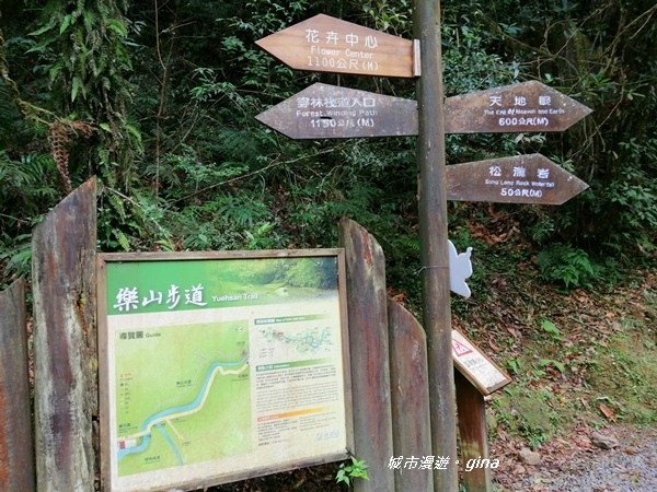 IMG_20201107_141747.jpg IMG_20201107_141747.jpg