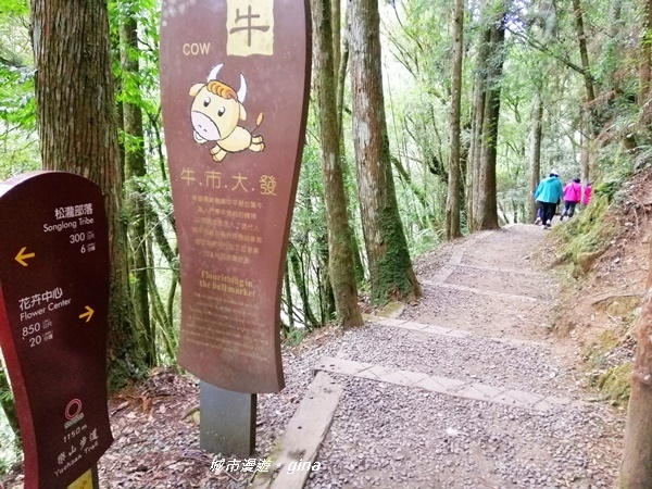 IMG_20201107_142750.jpg IMG_20201107_142750.jpg