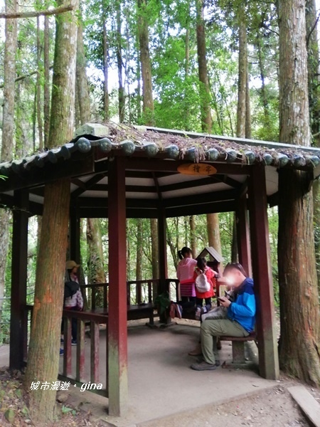 IMG_20201107_142755.jpg IMG_20201107_142755.jpg