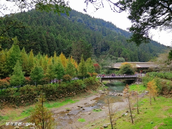 IMG_20201107_143811.jpg IMG_20201107_143811.jpg