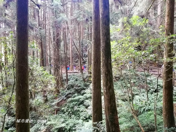 IMG_20201107_143507.jpg IMG_20201107_143507.jpg