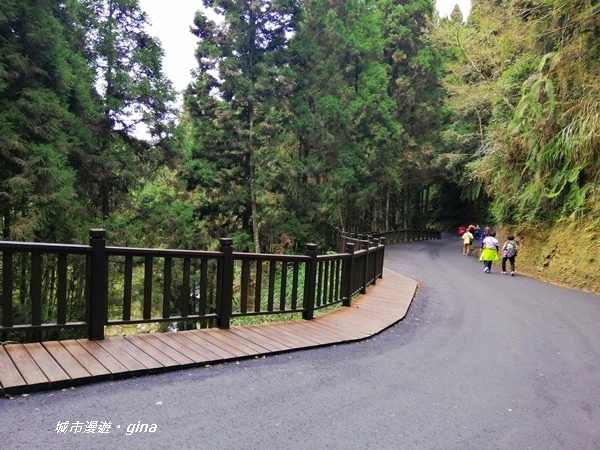 IMG_20201107_145817.jpg IMG_20201107_145817.jpg