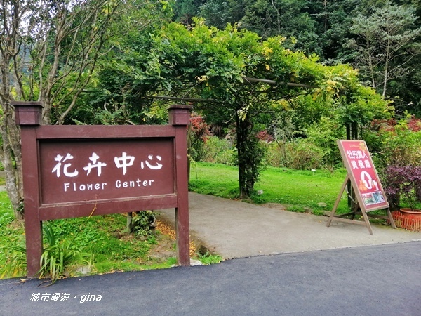 IMG_20201107_144755.jpg IMG_20201107_144755.jpg