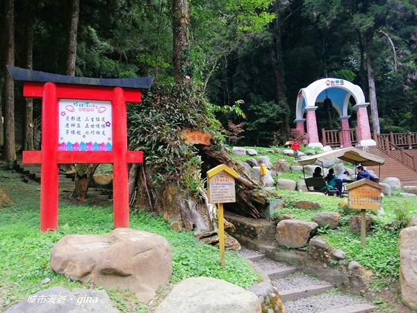 IMG_20201107_151252.jpg IMG_20201107_151252.jpg