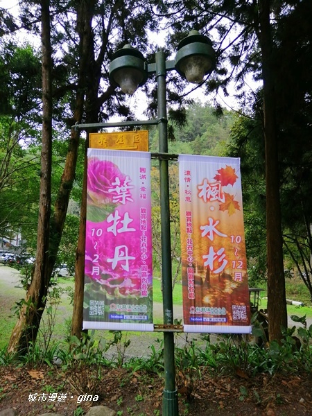 IMG_20201107_151529.jpg IMG_20201107_151529.jpg