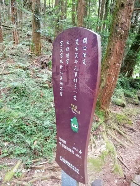 IMG_20201107_151530.jpg IMG_20201107_151530.jpg