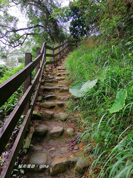 【彰化二水】山林美境尋寶石。 坑內坑森林步道