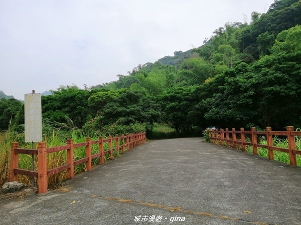 【彰化二水】山林美境尋寶石。 坑內坑森林步道