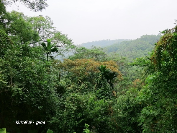 【彰化二水】山林美境尋寶石。 坑內坑森林步道