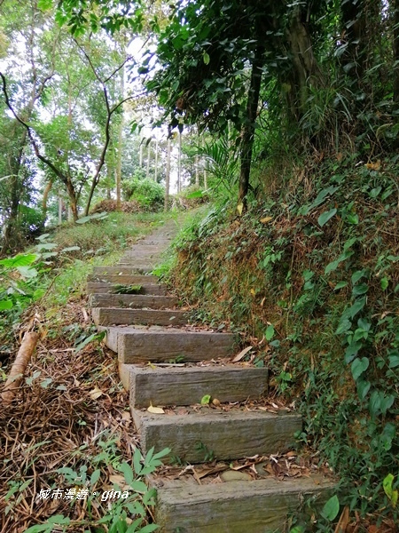 【彰化二水】山林美境尋寶石。 坑內坑森林步道