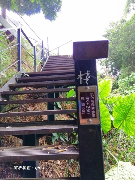 【彰化二水】山林美境尋寶石。 坑內坑森林步道