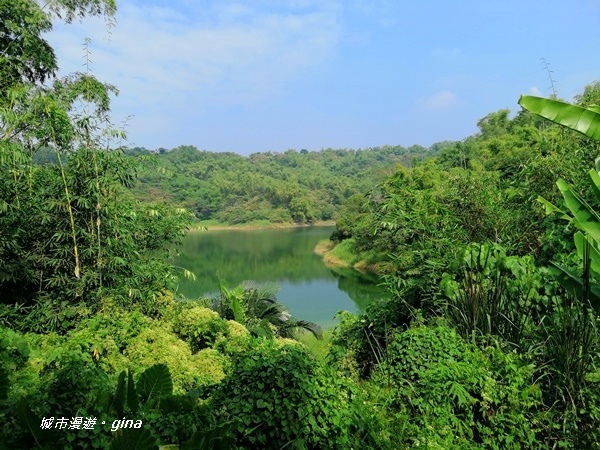 IMG_20201121_114523.jpg IMG_20201121_114523.jpg