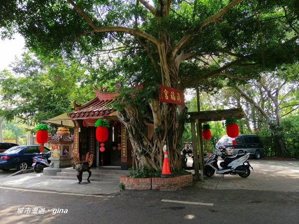 IMG_20201121_114514.jpg IMG_20201121_114514.jpg