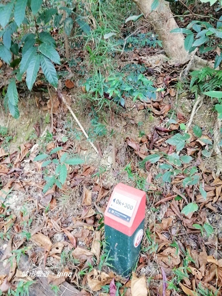 IMG_20201121_120319.jpg IMG_20201121_120319.jpg