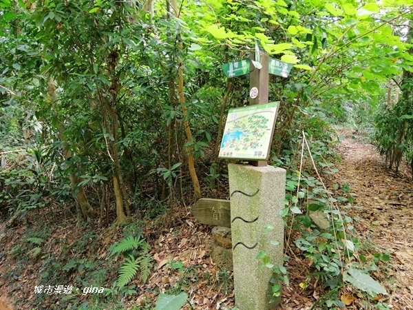 IMG_20201121_120605.jpg IMG_20201121_120605.jpg