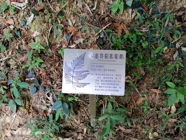 IMG_20201121_120648.jpg IMG_20201121_120648.jpg