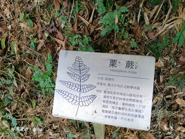 IMG_20201121_120706.jpg IMG_20201121_120706.jpg