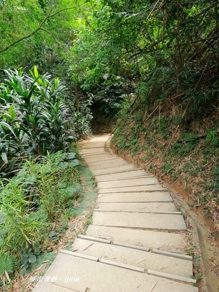 IMG_20201121_120803.jpg IMG_20201121_120803.jpg