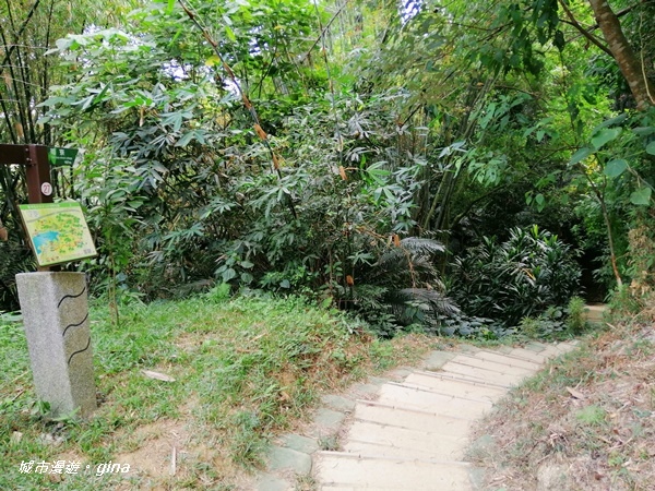 IMG_20201121_120736.jpg IMG_20201121_120736.jpg