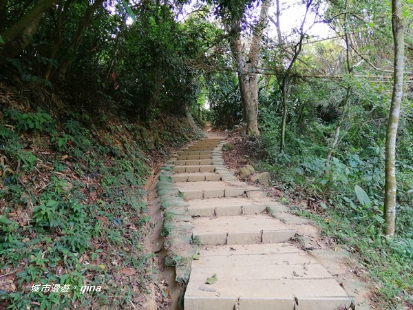 IMG_20201121_120652.jpg IMG_20201121_120652.jpg