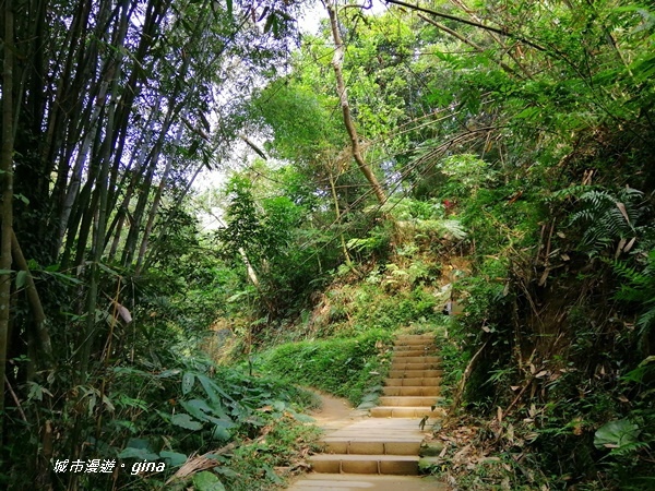 IMG_20201121_121138.jpg IMG_20201121_121138.jpg