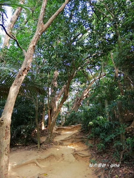 IMG_20201121_121709.jpg IMG_20201121_121709.jpg