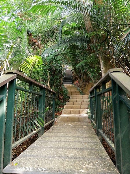 IMG_20201121_121610.jpg IMG_20201121_121610.jpg