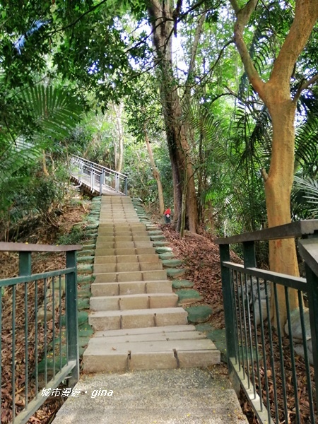 IMG_20201121_121506.jpg IMG_20201121_121506.jpg