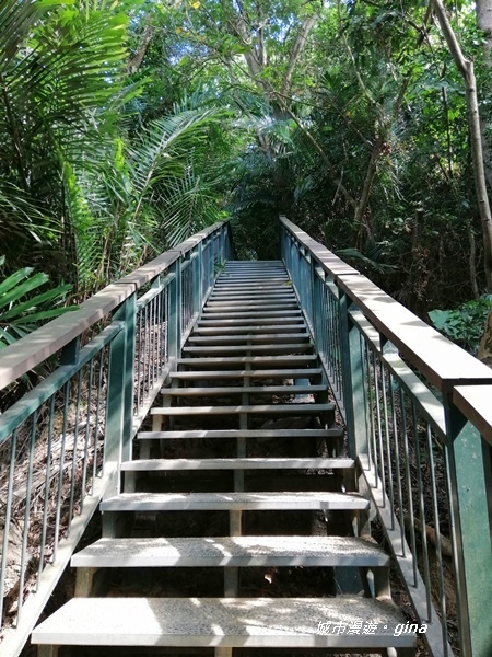 IMG_20201121_121538.jpg IMG_20201121_121538.jpg