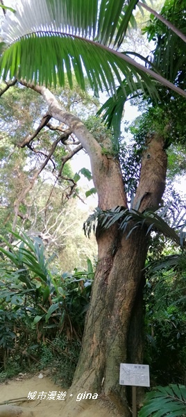 IMG_20201121_121820.jpg IMG_20201121_121820.jpg